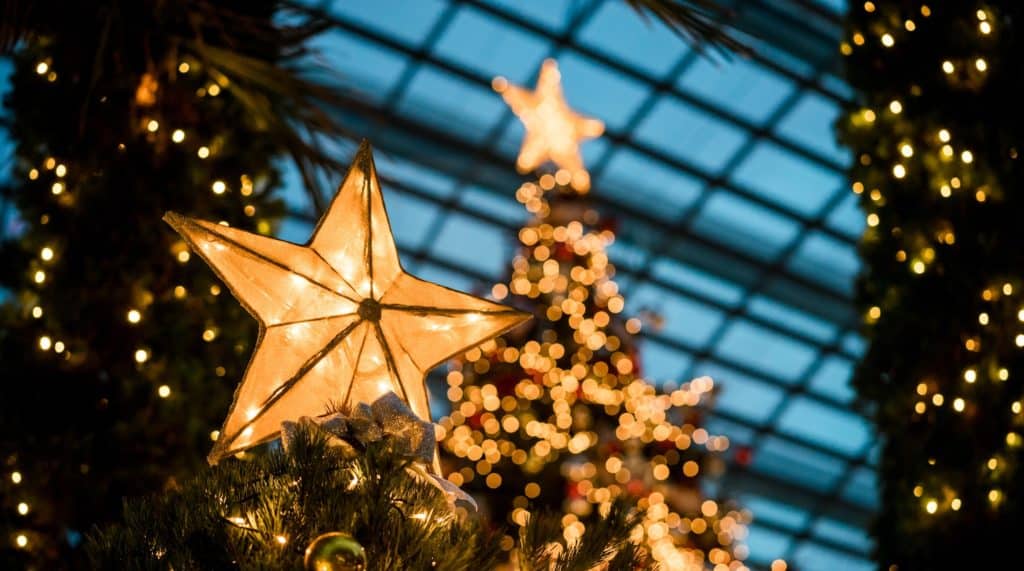 Perth’s Biggest Christmas Tree Is Going Up And Santa Is Set To Abseil The Mammoth Greenery