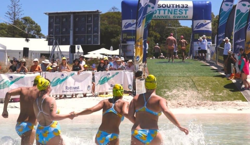 The Cottesloe To Rottnest Channel Swim Is Making A Comeback On An International Level