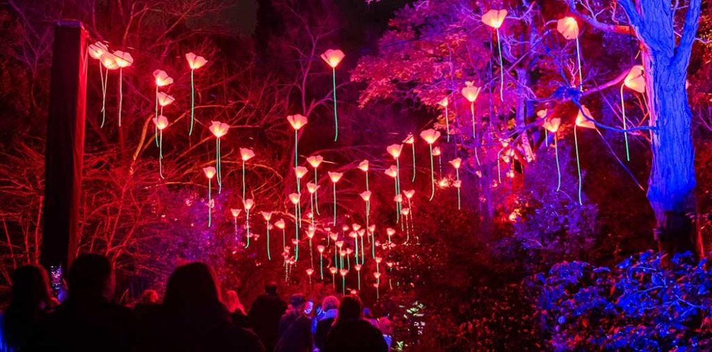 A One-Of-A-Kind Lightscape Phenomenon Is Coming To Kings Park This Winter