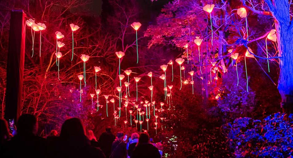 A One-Of-A-Kind Lightscape Phenomenon Is Going Down In Kings Park This July
