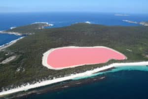 Lake Hillier right next to the blue ocean on island
