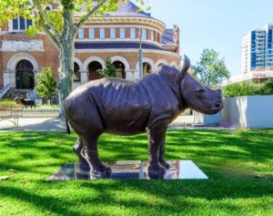 bronze baby rhino sculpture