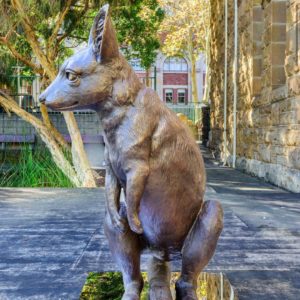 bronze baby wallaby sculpture