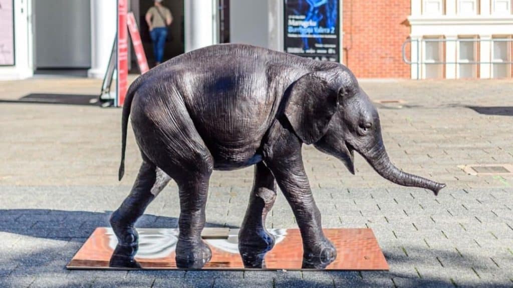 Baby elephant branze sculpture