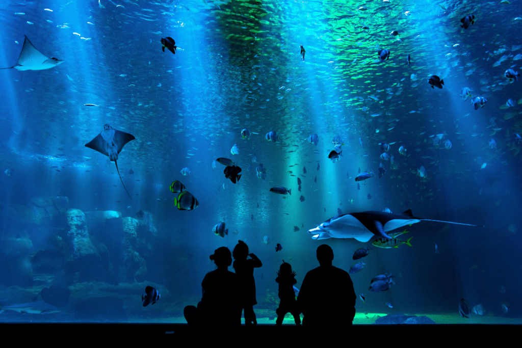Family at an aquarium